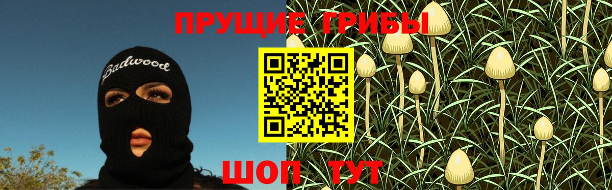 Галлюциногенные грибы мухоморы Новотроицк