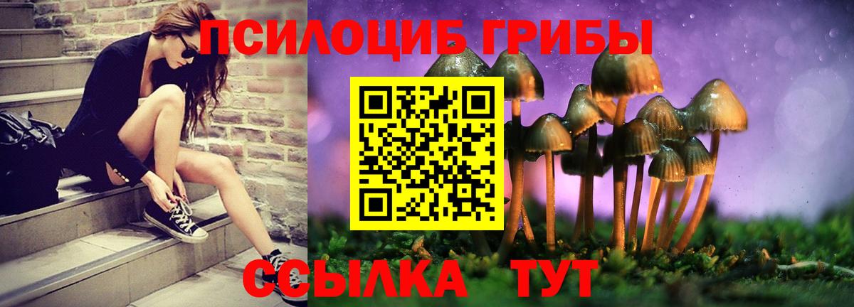 Псилоцибиновые грибы ЛСД  Вход с VPN  Новотроицк 